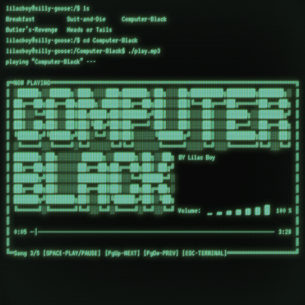 computer black